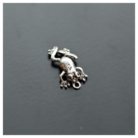 Breloque Grenouille Argent vieilli