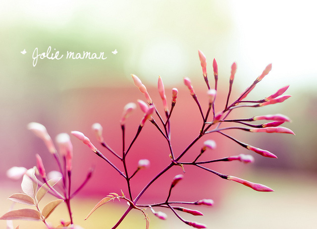 Parce que nous l'aimons !