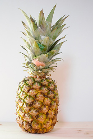 ananas et perles de rocaille tuto boucles d'oreilles